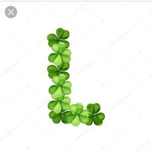 Meet your Posher, Lorie